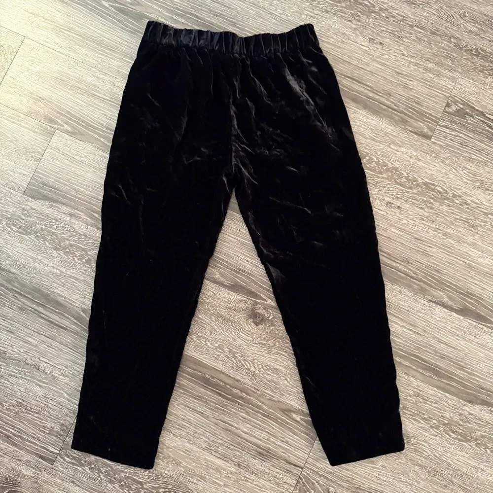 J. Crew Velour Pull On Pants